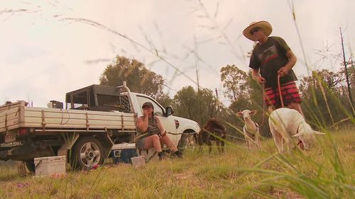 Families have been forced to flee their homes in the Darling Downs area of Queensland as a fast-moving bushfire races towards properties.