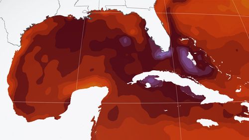 Sea surface temperatures around parts of Florida and the Bahamas are warmer than 36 degrees, shown here in shades of purple.