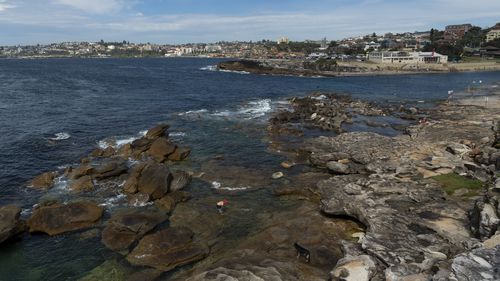 NSW Police said 31 fines were handed out to young people having an illegal party on the rocks at Clovelly Beach.