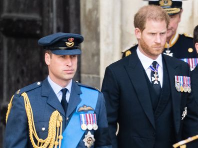 Prince William and Prince Harry relationship 