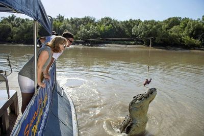 <strong>Come face to face with jumping crocodiles</strong>
