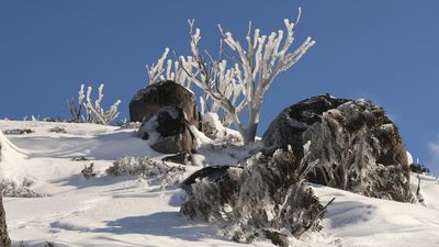 Winter wonderland in Snow Mountains