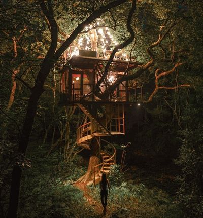 Sleep high in the trees at the Treeful Treehouse EcoResort