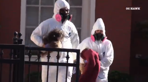 Police were forced to wear hazmat suits because the mansion where 136 dogs were kept was so filthy.