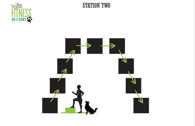 <strong>Station Two: Step-ups (4 minutes)</strong>