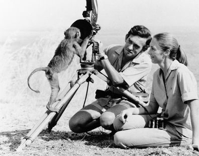 Anthropologist Jane Goodall with husband Hugo van lawick behind a camera in 1974.