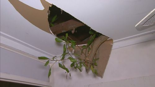 There was also a close call at an uninsured home in Mt Helena.