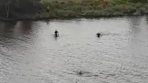 Trisjack, Chris and two friends jumped into the Swan River to try and escape police who were chasing them.