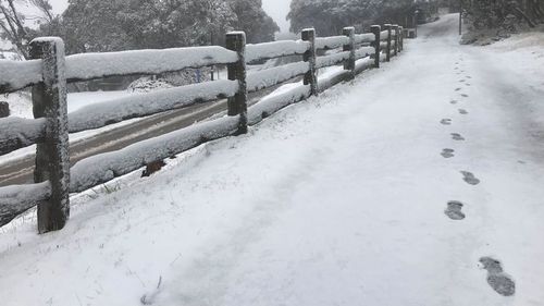 Nearly five centimetres of snow dusted Mount Buller yesterday. (Mount Buller Facebook)