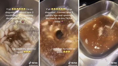 Think Twice Before Using TikTok's Shaving Cream Hack To Clean Your Sink  Drain