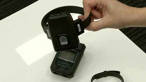 The Queensland government's plans to expand ankle monitoring of youth offenders has been met with criticism.