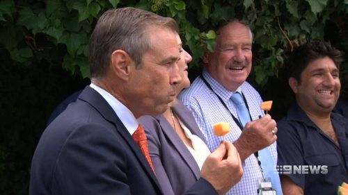 Government representatives publicly ate rockmelon in support of WA farmers. (9NEWS)