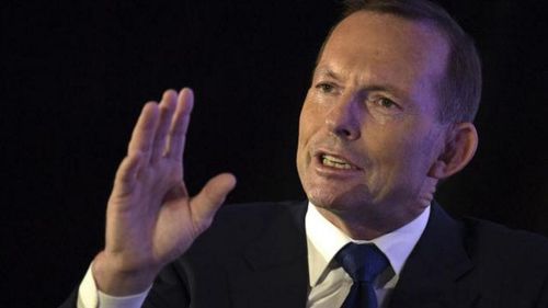 Abbott's office dismisses comeback report