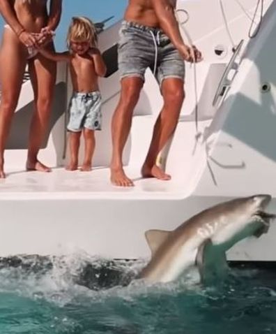 Sailing couple feed shark