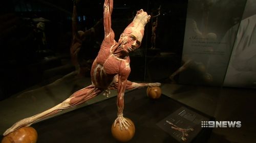 The exhibit shows the impact modern living has on the human body.