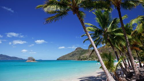 Hamilton Island is set to change hands.