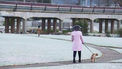 Frost in Stanthorpe. (9NEWS)