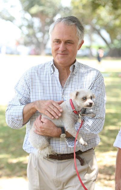 Malcolm Turnbull with Mellie
