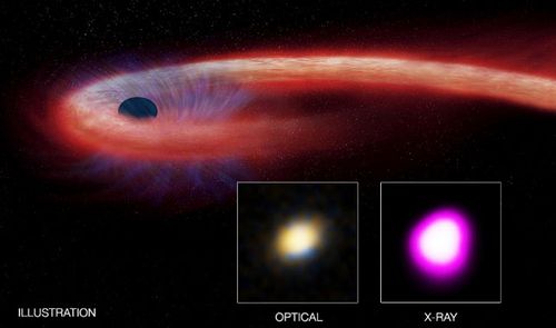 The graphic illustrates the Tidal Disruption Event and how its effects are observed by astronomers. (Image: NASA).