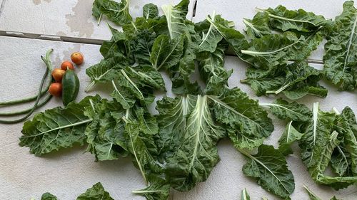 Alla coppia piace mantenere i costi di giardinaggio al minimo.