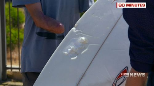 Sean was attacked by a great white shark while surfing in 2014. (60 Minutes)