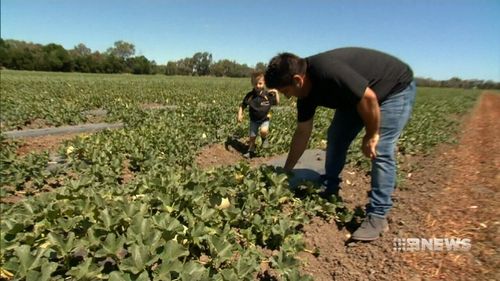 Farmers are urging customers to buy local. (9NEWS)