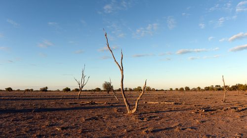 Australia is battling the worst drought in over one hundred years.