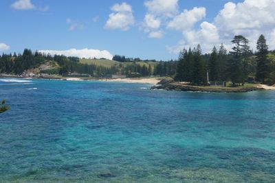 14. Emily Bay, Norfolk Island, Australia