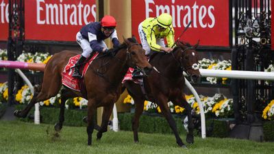 Almandin wins great duel to claim Melbourne Cup