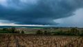 'Ping pong-sized' hailstones ravage famous wine region