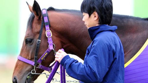 Japanese stayer Admire Rakti is the favourite to win today's Melbourne Cup. (AAP)