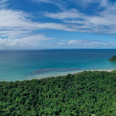 Foundations already laid for a dream home in the Queensland rainforest