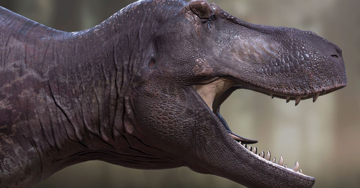 T. Rex Looks Super Thicc In Highly Accurate Digital Reconstruction -  Nine.Com.Au