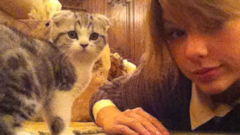 Watch: Taylor Swift's cat Meredith is the most adorable thing alive
