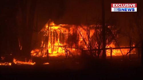 Fire crews watched on last night as a tree goes up in flames in Victoria's southwest. (9NEWS)