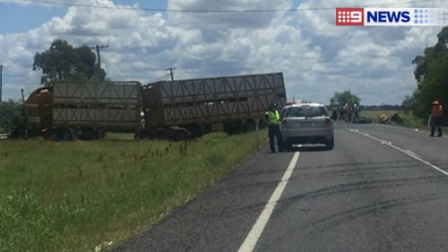 A car and cattle truck collided about 11.25am, police believe. (9NEWS)