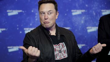 Elon Musk says Twitter deal 'temporarily on hold'