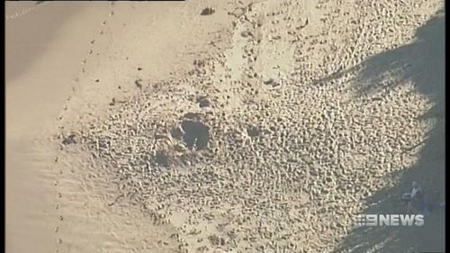 Spraggs was 'buried alive' when the sand fell on him and onlookers rushed to his aid. Picture: 9NEWS.