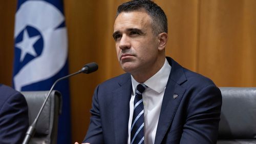 Peter Malinauskas 