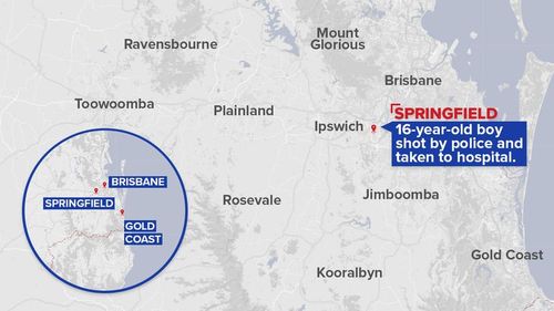 Police were called to the Springfield home, south-west of Brisbane. (9NEWS)