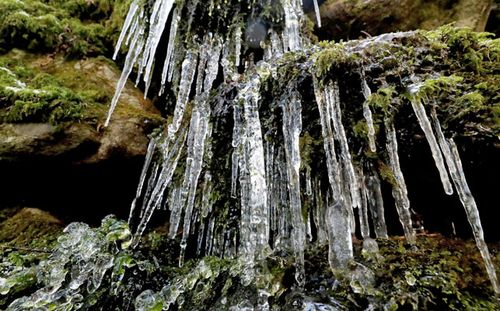 Icicles on rocks at the Glencree River near Enniskerry, in Ireland. (AP).