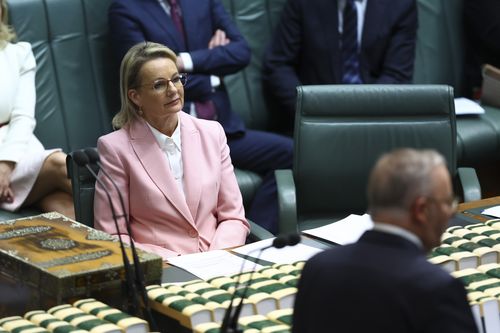 Leader of the Opposition Sussan Ley and Prime Minister Anthony Albanese during the first Question Time of the 48th parliament in the House of Representatives at Parliament House in Canberra