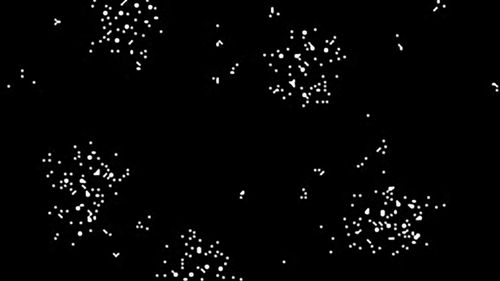 The citizen-scientist community calls the original visualization of the extracted data a "star map".