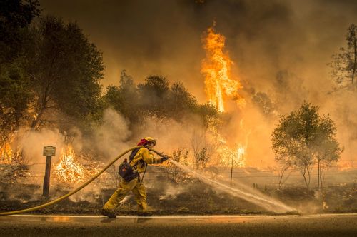 A firefighter waters down a back burn near the town of Igo. Picture; AP