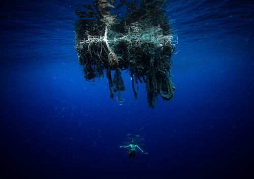 Large chunks of ghost netting was a common sight for Ben. As well as potentially trapping and killing marine life, the floating debris had sometimes transformed into an eerie mini-ecosystem.