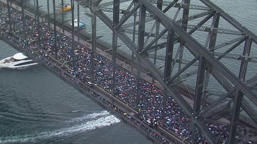 Pro-Palestine protests on Sydney Harbour Bridge