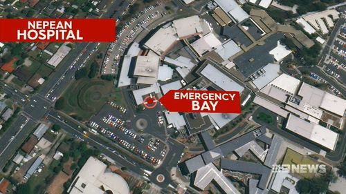 The man remains stable in hospital in a coma after brandishing knives in the emergency department of  Nepean hospital.