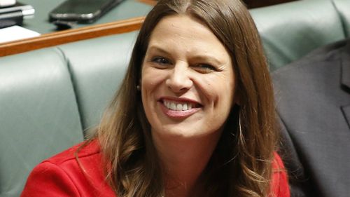 Federal MP Kate Ellis announces pregnancy