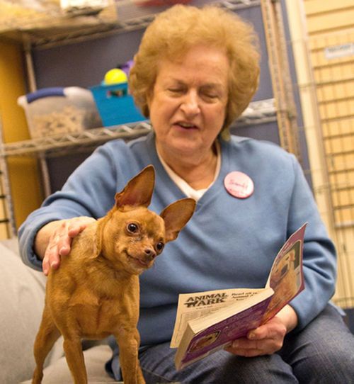 Barbarella reads to about 20-30 dogs per session. (Western PA Humane Society)