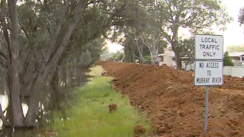 Les espoirs de la communauté d'Echuca reposent sur ce mur d'argile de 2,5 kilomètres. 